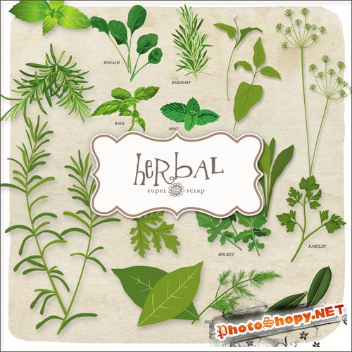 Scrap-kit - Herbal Set