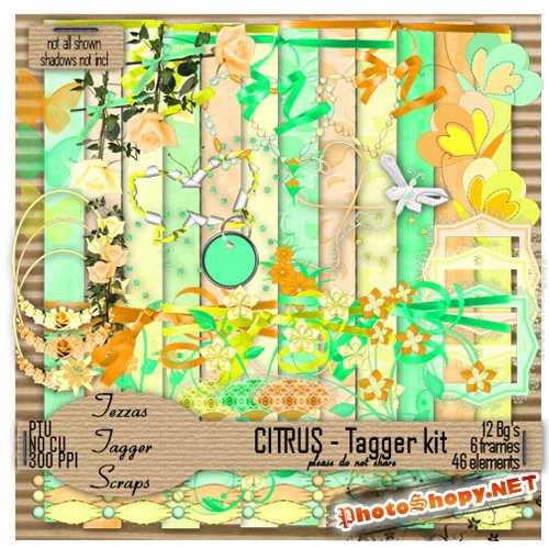 Scrap-set - Citrus - Tagger Kit