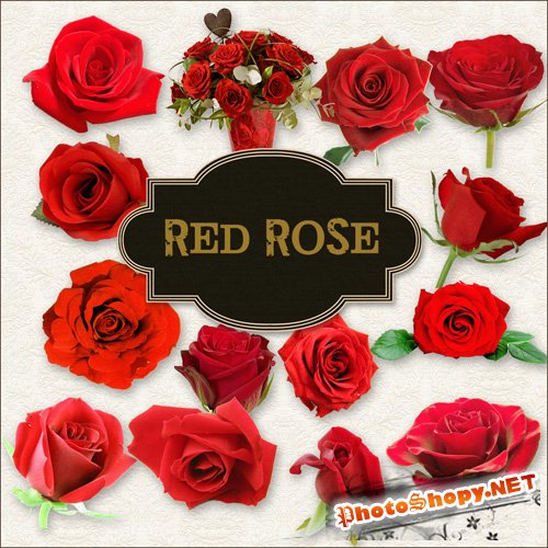 Scrap-kit - Red Roses Set