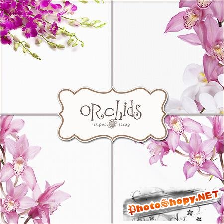 Клипарты - Орхидеи для тебя