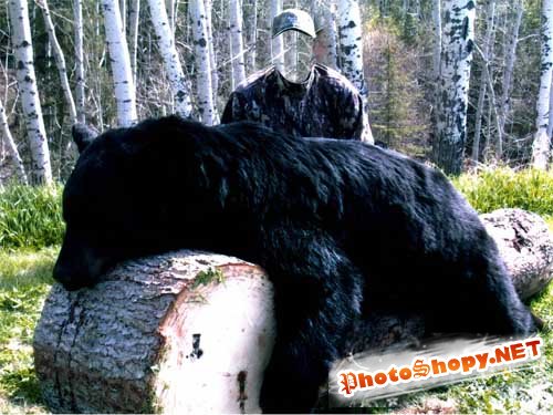 PSD-исходник "Охотник на медведей"