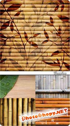 Бамбук - фоны