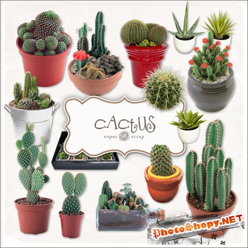 Scrap-kit - Cactus Set