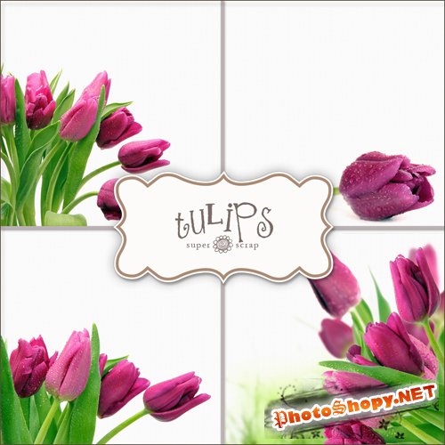 Textures - Tulips #4