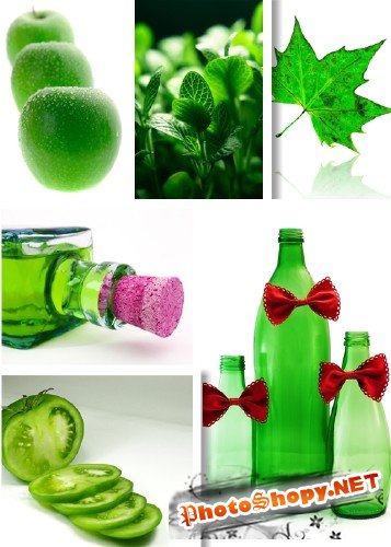 Растровый клипарт - Зеленые предметы