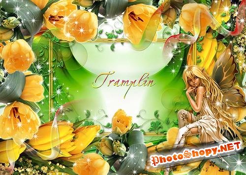 Рамка для Photoshop – Мне приснился чудный, сладкий сон, я в маленькую фею превратилась