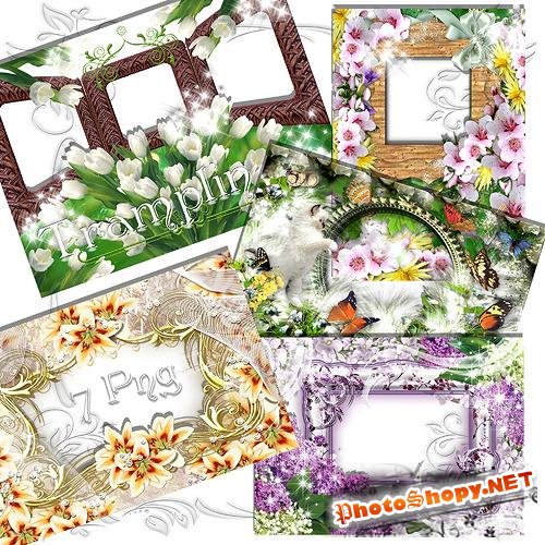7 Рамок  для  фото – Цветастым цветом расцветут