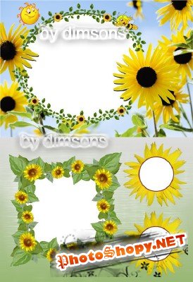 Photo Frame - Yellow Sunflowers