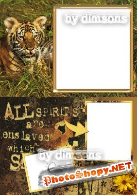 Photo Frame - Young Tiger
