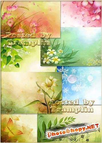 Нежные фоны - Backgrounds – С цветами, листочками и  лепестками