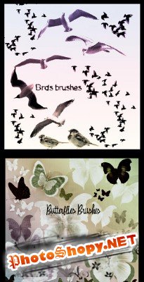 Birds and Butterflies brushes set