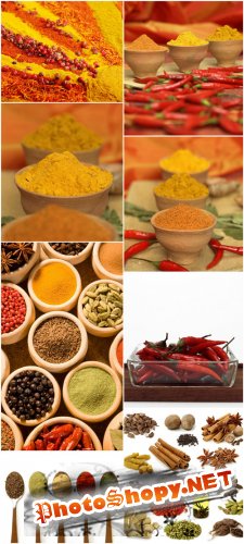 Spice Cliparts - seasoning, spices, pepper