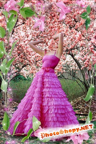 Шаблон для монтажа в Photoshop - В розовом платье