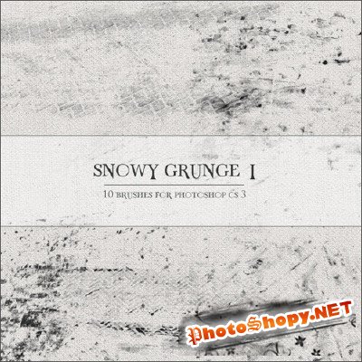 Snowy Grunge I brushes