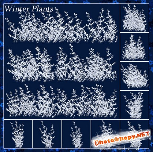 Scrap-kit - Winter Plants