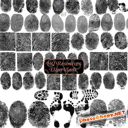 Fingerprints Brushes