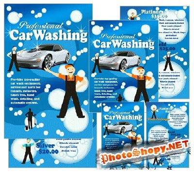 Professional Car Washing