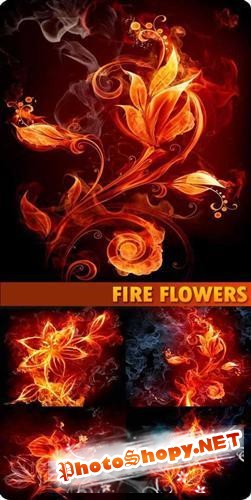 Семь огненных цветов - фоны
