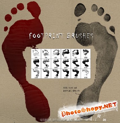 Brushes set - Footprint 