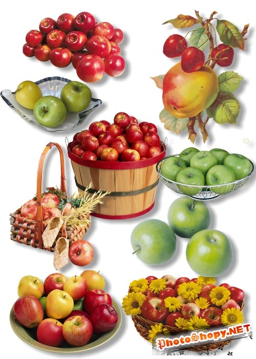 Клипарт - Сочные аппетитные яблоки