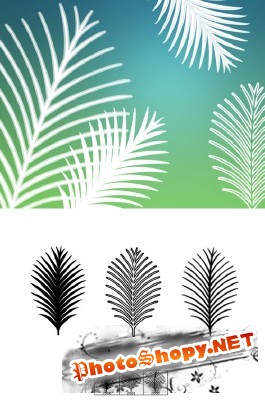 Palm Fronds Brushes Set for Photoshop