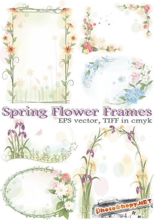 Красивые рамки и кластеры цветы (AI vector)