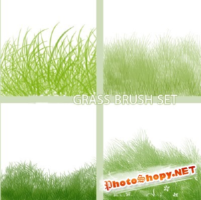 Grass Set Brushes for Photoshop