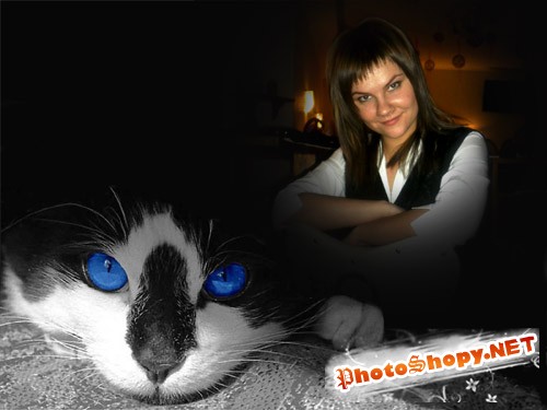  Шаблон для фото - кошка с голубыми глазами 
