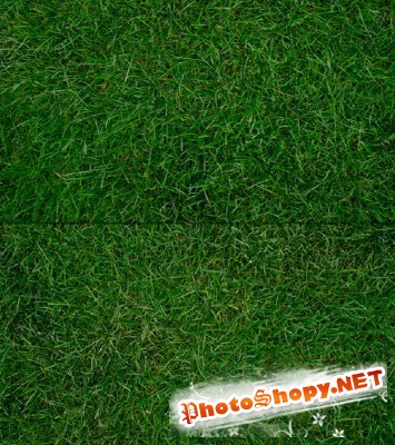 Grass Textures Set