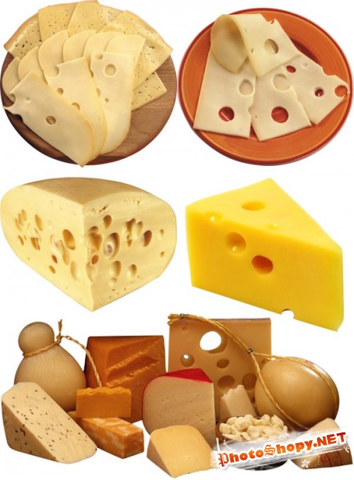 Фотосток: молочные продукты - Сыр