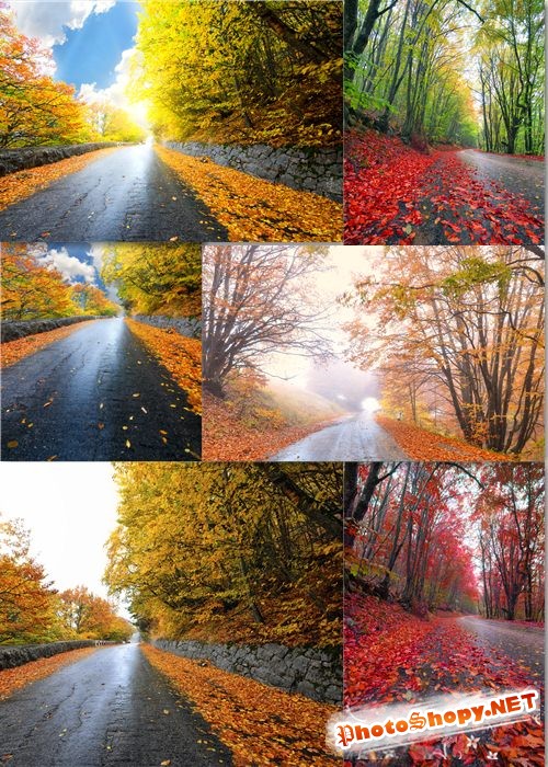 Клипарт - Осенние дорожные пейзажи