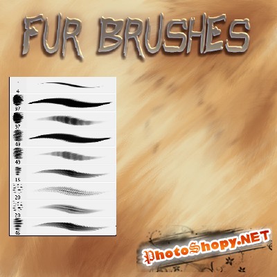 Fur Brushes
