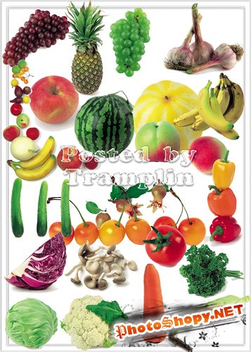 Клипарт – Фрукты и овощи на белом фоне