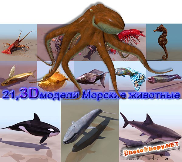 3D модели Морские животные рыбы