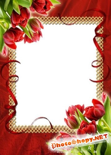 Рамка для фотошоп – Красные тюльпаны