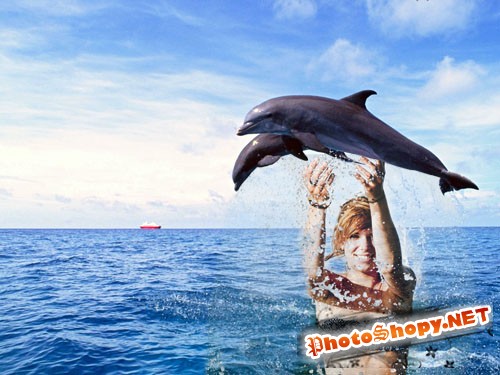  Рамка для фотошопа - дельфины 