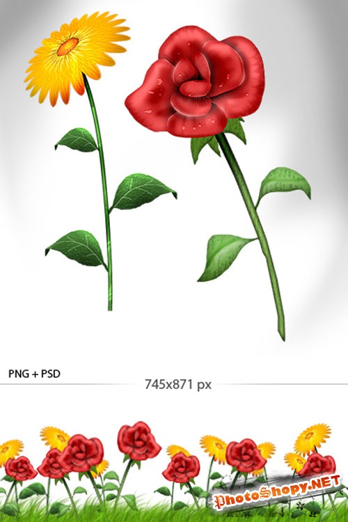Flowers Yand R Color PSD Template