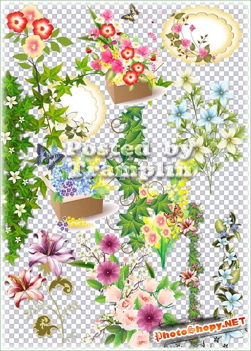Клипарт на прозрачном фоне – Цветы, Цветочные композиции, букеты, листва