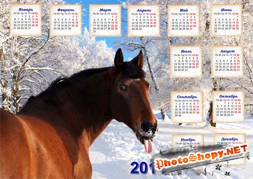 Календарь 2014 - Прикольная лошадка