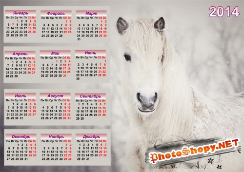 Календарь - Красивая белоснежная лошадка