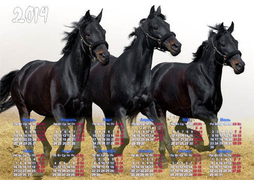 Календарь 2014 - 3 черных коня