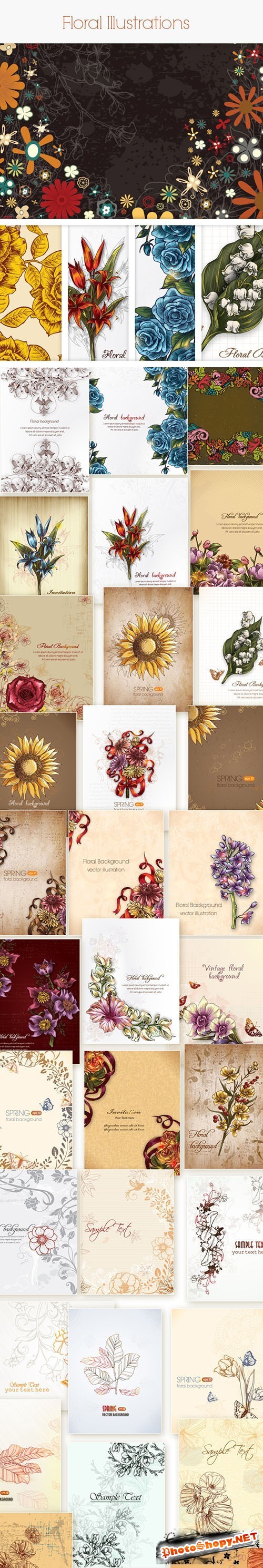 Floral Vector Stock Illustrations Bundle