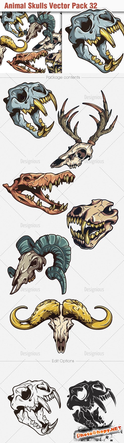 Animal Skulls Vector Illustrations Pack 32