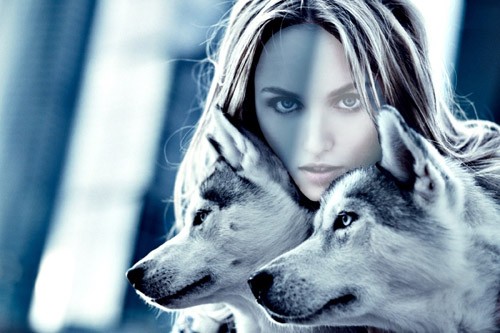 Девушка с 2 красивыми волками - шаблон женский