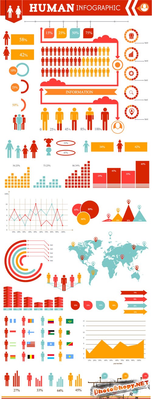 Human Infographic Vector Illustrations