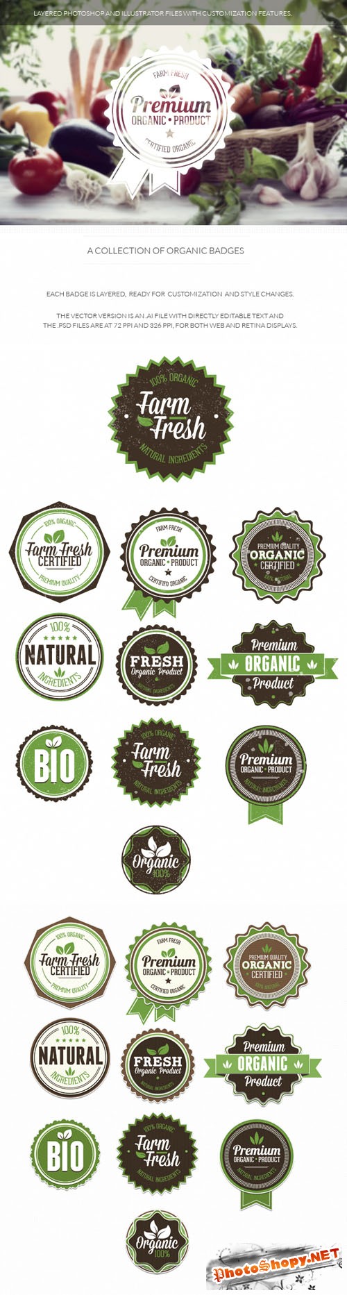 Organic and Eco Badges Vector Elements Set