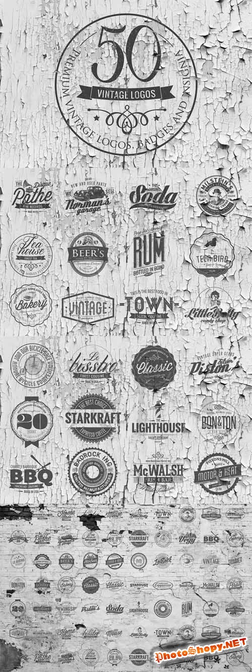 50 Vintage Logos Badges Templates