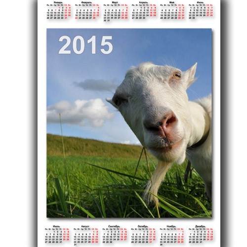 Календарь 2015 - Задумчивая коза
