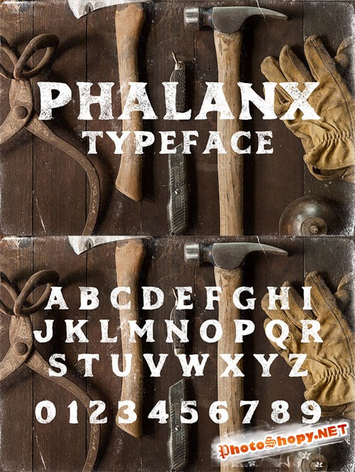 Phalanx Font Family