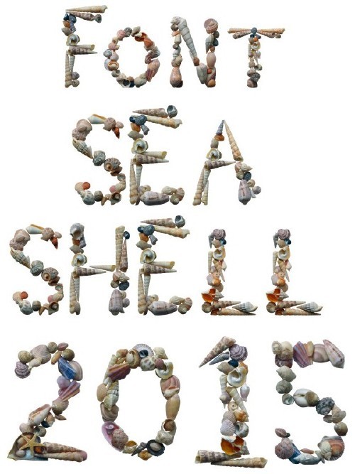 Морские ракушки (буквы и цифры) на прозрачном фоне